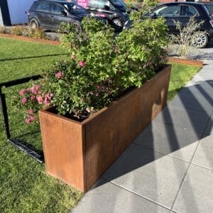 Blomsterkasse med lyserøde blomster og grønne planter