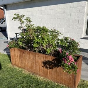 Rusten plantekasse med blomstrende buske foran hvid mur.